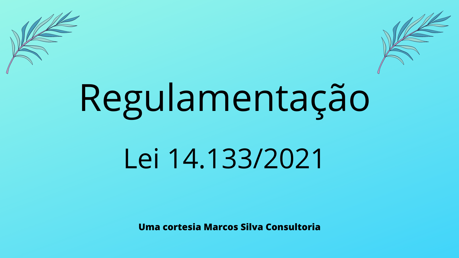 Regulamenta O Da Lei Marcos Silva Consultoria