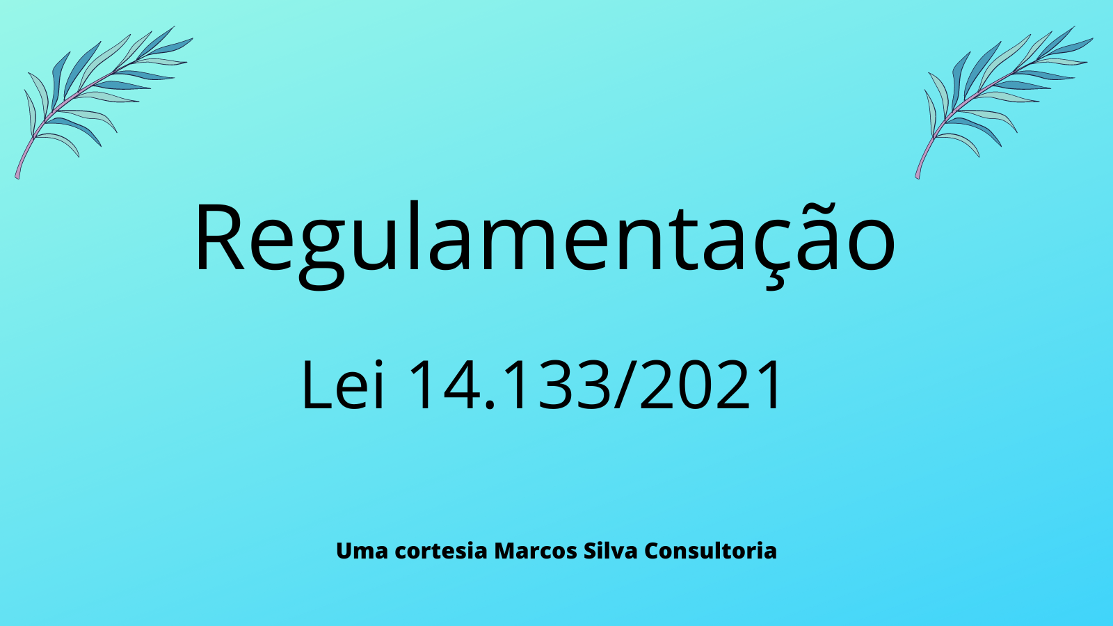 Regulamentação da Lei 14.133/2021